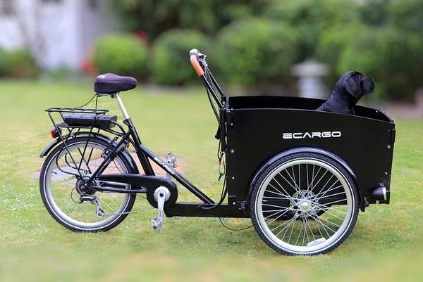 Découvrez les vélos cargo atypiques